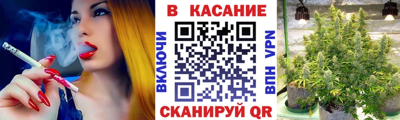 Наркошоп купить Галлюциногенные грибы  ГЕРОИН  Гашиш  Alpha-PVP  Мефедрон  Мураши