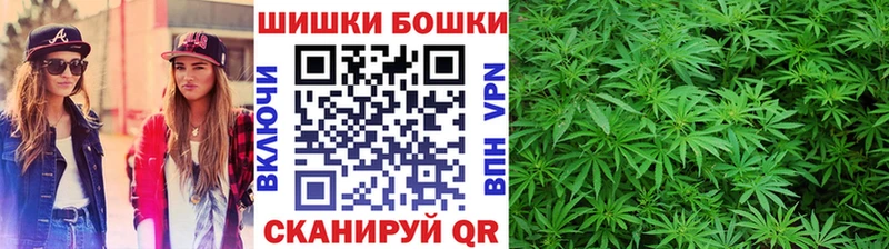 Купить закладки  Мураши  Конопля MAZAR 